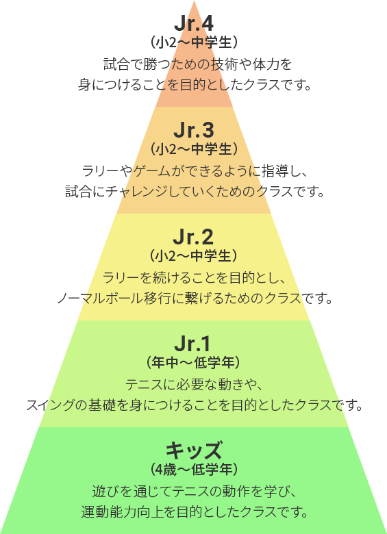 年齢に応じた適切なクラス分けで最適なレッスンを実施