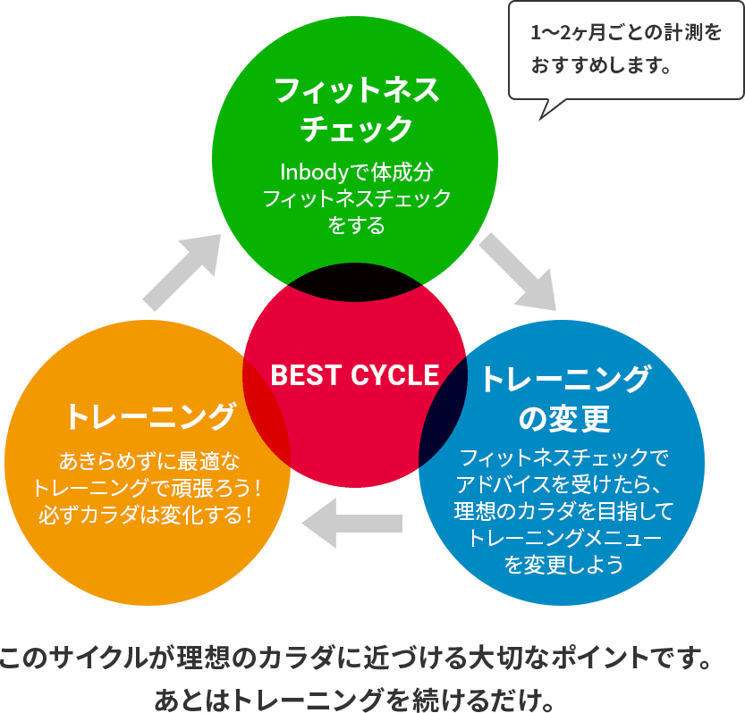 このサイクルが理想のカラダに近づける大切なポイントです。あとはトレーニングを続けるだけ。