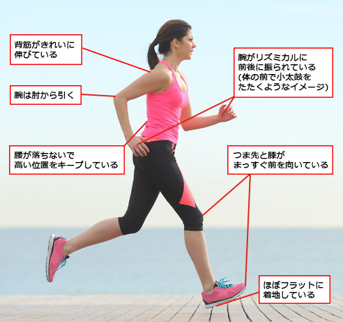 マラソン初心者のための運動方法について解説｜COSPA(コ・ス・パ)