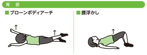 背中・腰