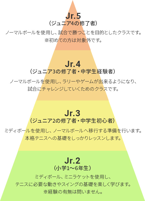 年齢に応じた適切なクラス分けで最適なレッスンを実施