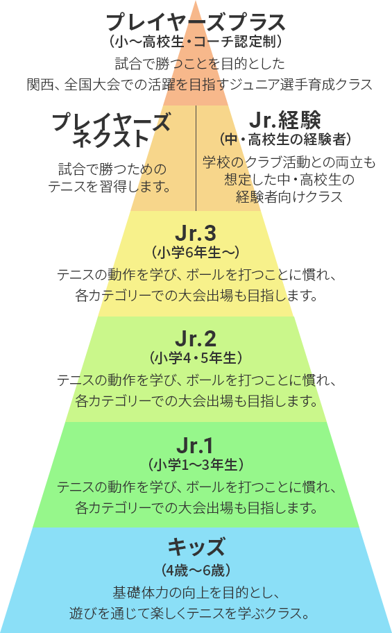 年齢に応じた適切なクラス分けで最適なレッスンを実施