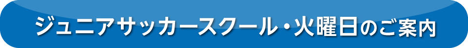 2205_botan_jr_soccer_tue_annai.jpg
