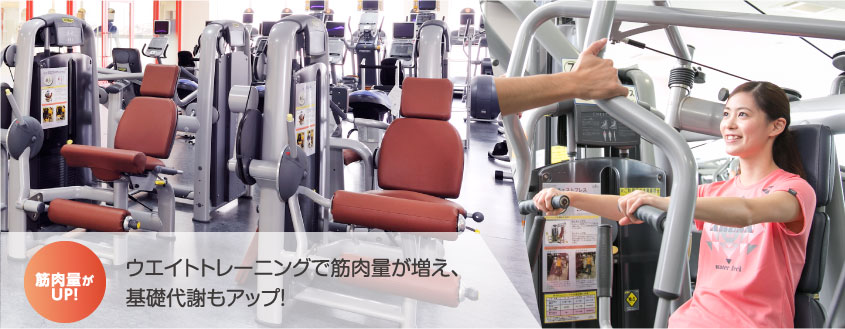 ウエイトトレーニングで、筋肉量がUP!基礎代謝も上がります。