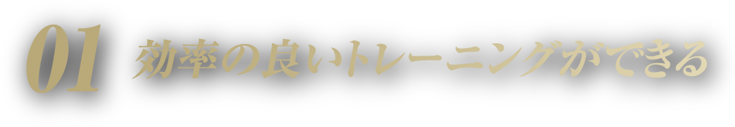 効率の良いトレーニングができる